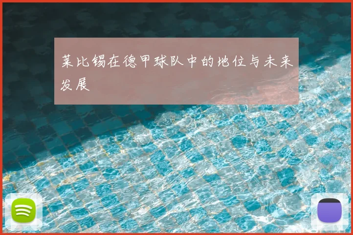 莱比锡在德甲球队中的地位与未来发展